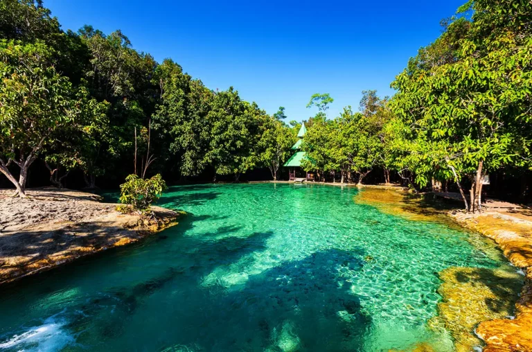 Jungle Tour | Emerald Pool, Hot Springs, Tiger Cave Temple & Krabi Souvenir Shopping